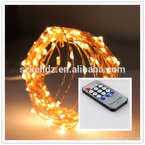 NEWSTYLE 100 LED Lights Copper String 33 Feet Bundle with 12v Adapter and a Remote Control (Warm White)
